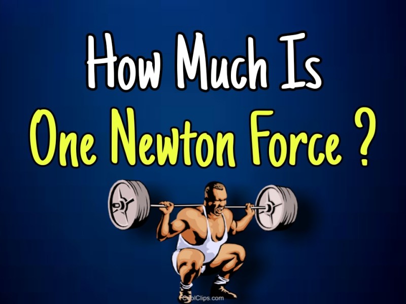 How Much is One Newton ?